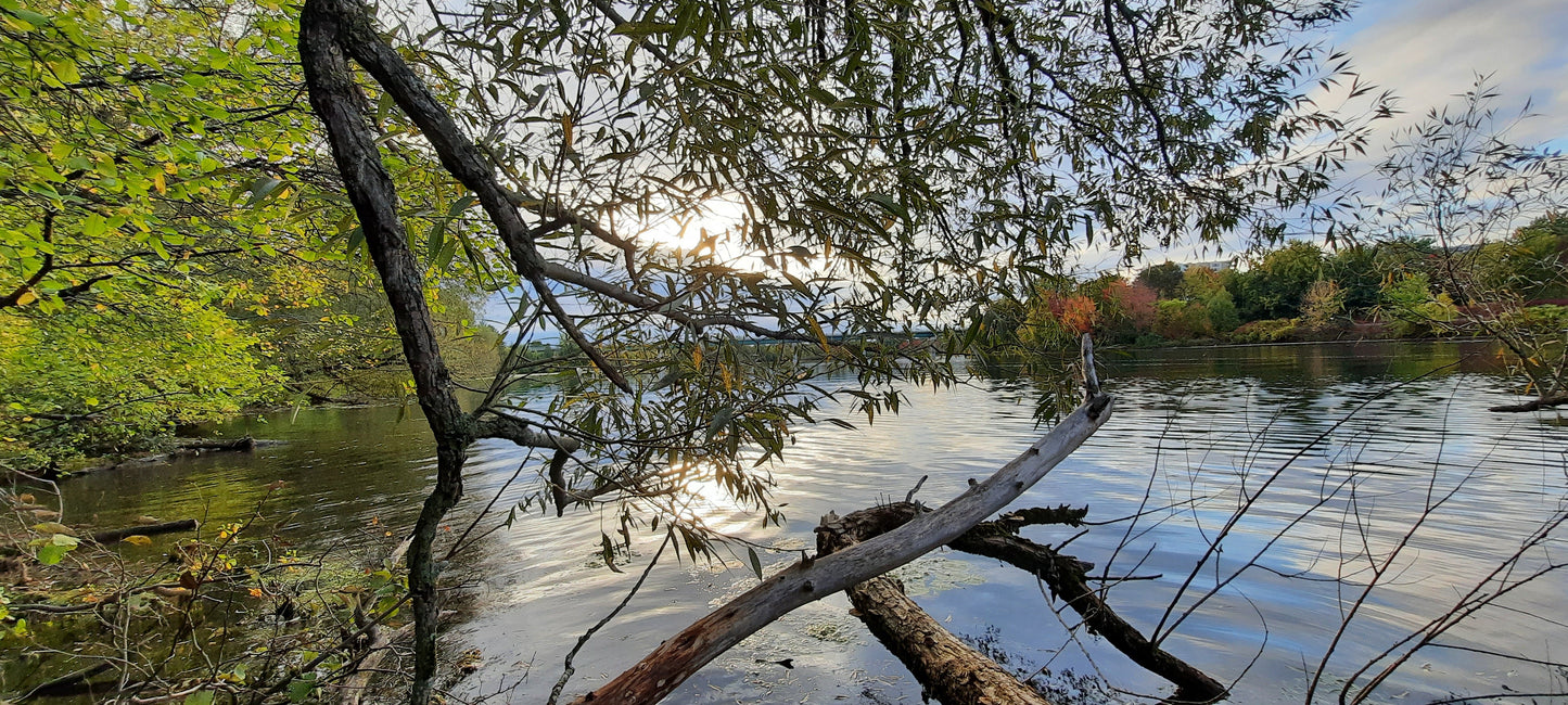 Le Soleil Qui Sort Le 3 Octobre 2021 17H25 (Vue C1) Rivière Magog À Sherbrooke. Pont Jacques
