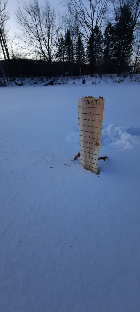 (Math) Trouve La Mesure En Centimètres Du 2022-01-10 (Vue T1)