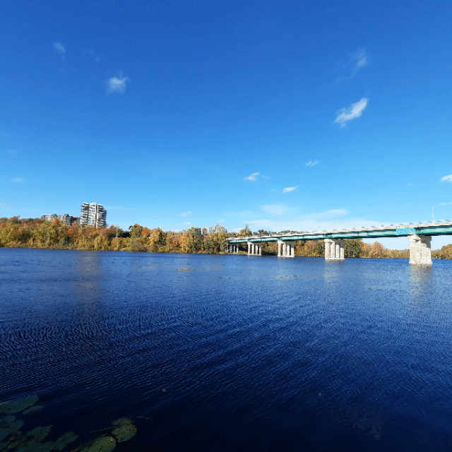 2022-10-08 Pont Jacques-Cartier (Vue T1) #animation